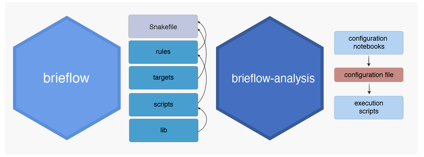 Brieflow <> Brieflow Analysis